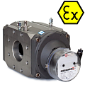 Gasmeter Ex