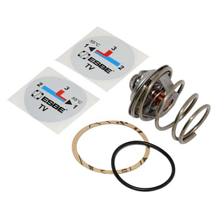 Renovatieset ESBE voor TV 55°C (17007400)